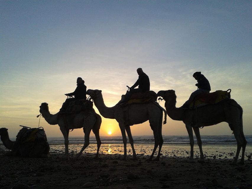 Essaouira: Guided 2h Dromedary Riding With Sunset - Essential Items to Bring