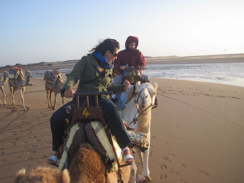 Essaouira: Guided Dromedary Riding Tour - Last Words