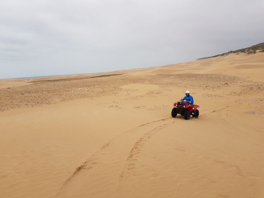 Essaouira: Guided Quad Bike Tour and Camel Ride - Customer Review and Recommendation