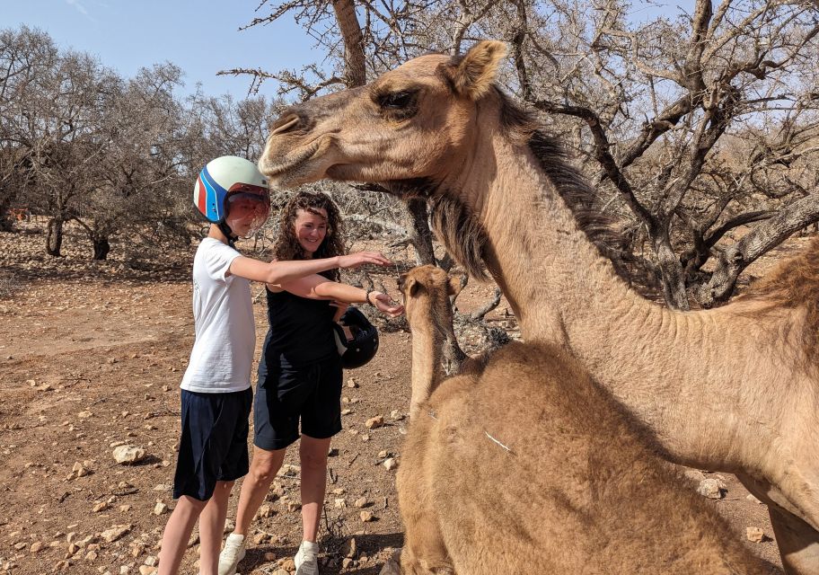 Essaouira : Half-Day E-Experience From Mountains to Sea - Inclusions