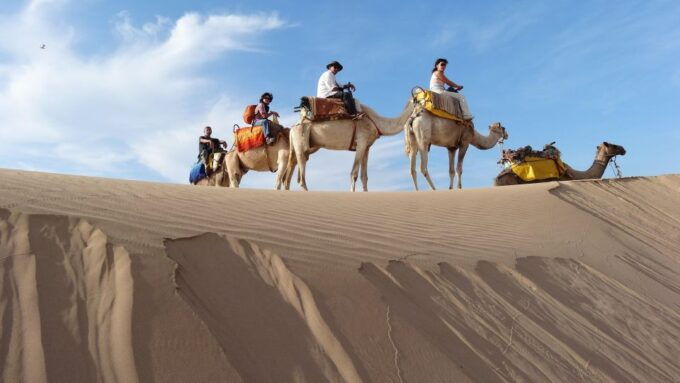 Essaouira: One Hour Dromedary Ride - Highlights of the Dromedary Ride