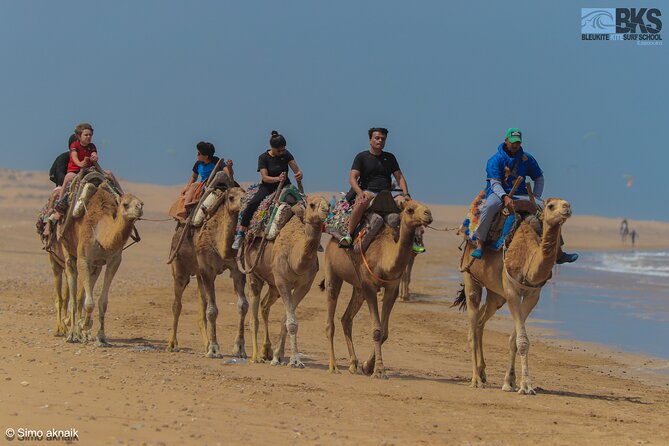 Essaouira Surf Lesson - Additional Information and Resources