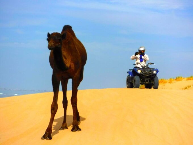 Essaouria: Beach & Big Dunes 2-Hour Quad Biking Tour - Booking Information