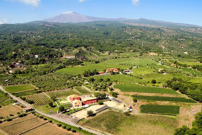 Etna DOC & Organic Wine Tasting and Tour of the 1815 Historic Winery - Weather-Dependent Considerations