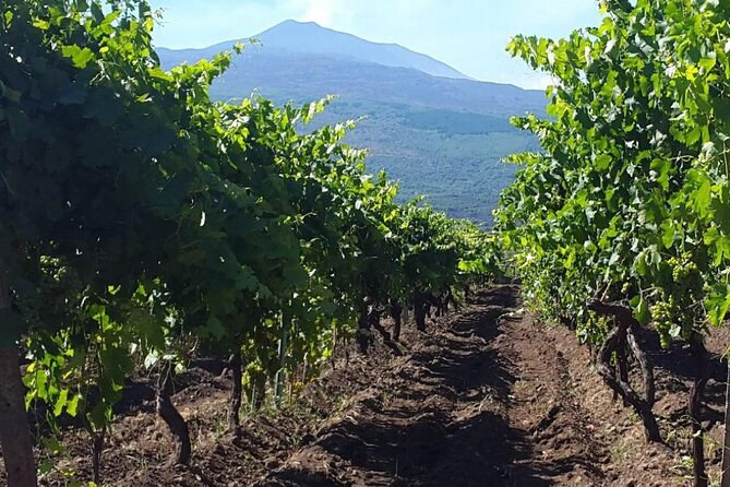 Etna Excursion and Wine Tasting With Sicilian Lunch - Expert Guide Information