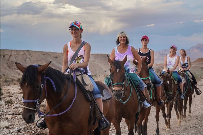 Evening Horseback Riding Tour - Customer Reviews and Experiences