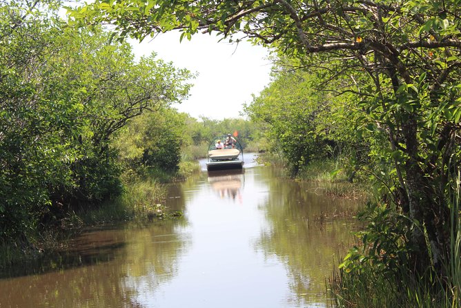 Everglades & Miami City Tour With Experienced Guide in Small Group - Nature Exploration