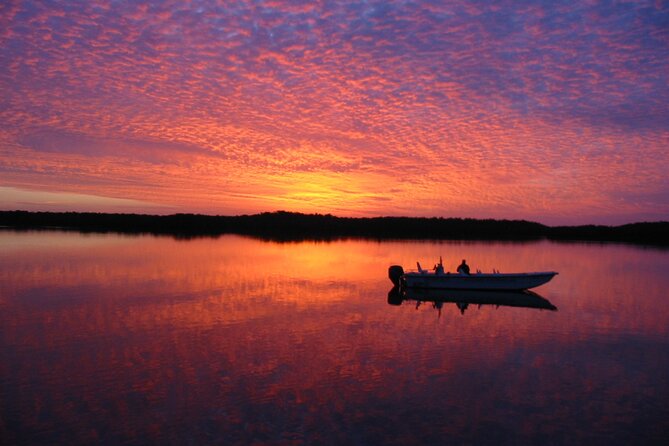 Everglades National Park Small Group Guided Boating and Walking Expedition - Highlights