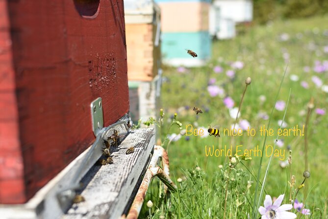 Evia Beekeeping Experience From a Local Beekeeper in Konistres - Additional Resources and Support