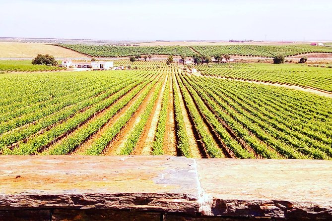 Évora - Inside the Olive Oil, Wine, and Cork Triangle (Private Tour) - Weather Contingency