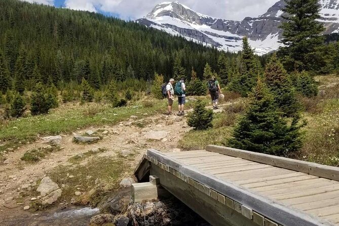 Exclusive Skoki Backcountry Guided Hiking in Lake Louise With Van Shuttle - Traveler Information