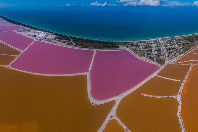 Excursion Las Coloradas & Rio Lagartos Only From Cancun - Customer Feedback and Recommendations
