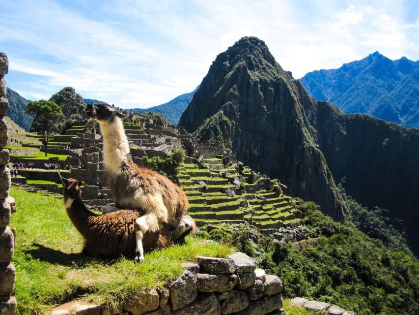 Excursion Machupicchu-Laguna Humantay 4 Days 3 Nights - Exclusions