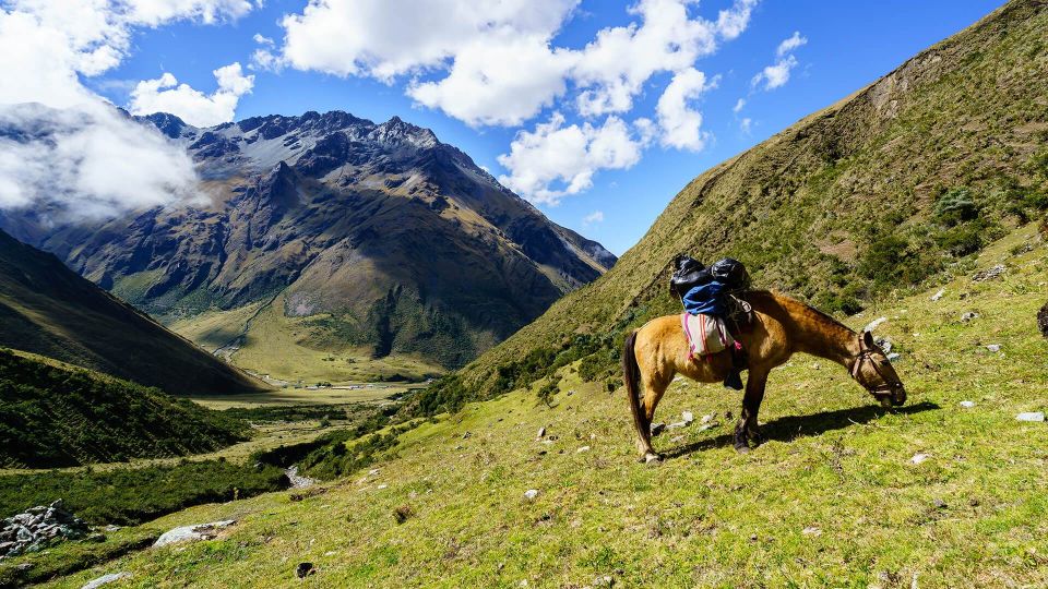 Excursion to Cusco Machu Picchu in 7 Days 6 Nights - Day 2: Sacred Valley - Aguas Calientes