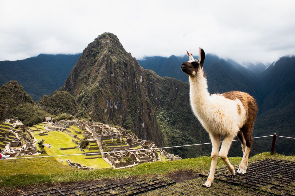 Excursion to Machupicchu Full Day Witch Lunch - Lunch and Dining Information