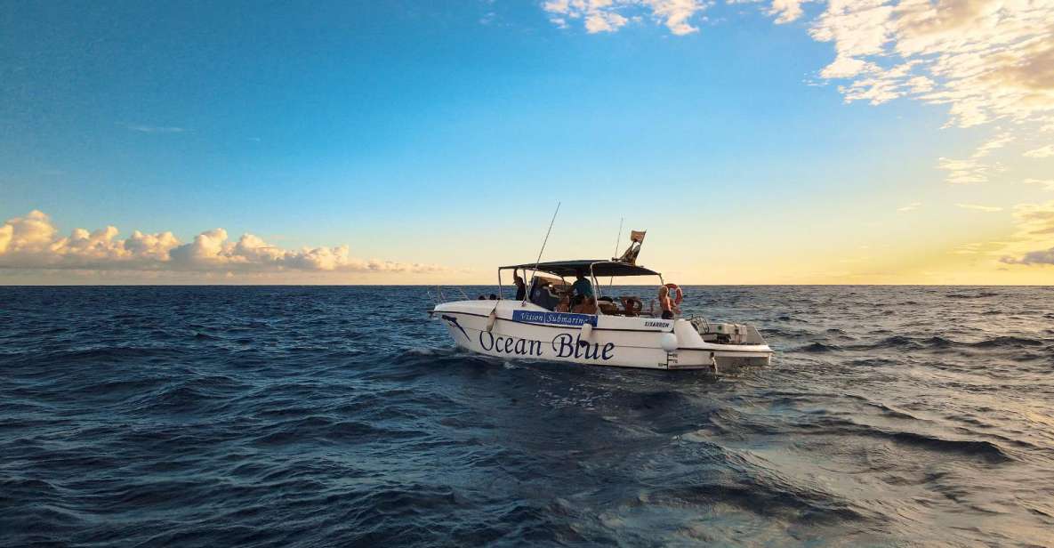 Excursion to See the Whales - 3 Hours - Inclusions