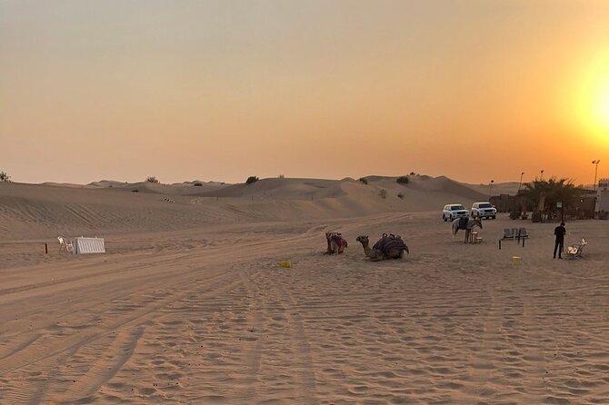 Exhilarating Desert Safari, Including BBQ Dinner From Dubai - Activity Inclusions