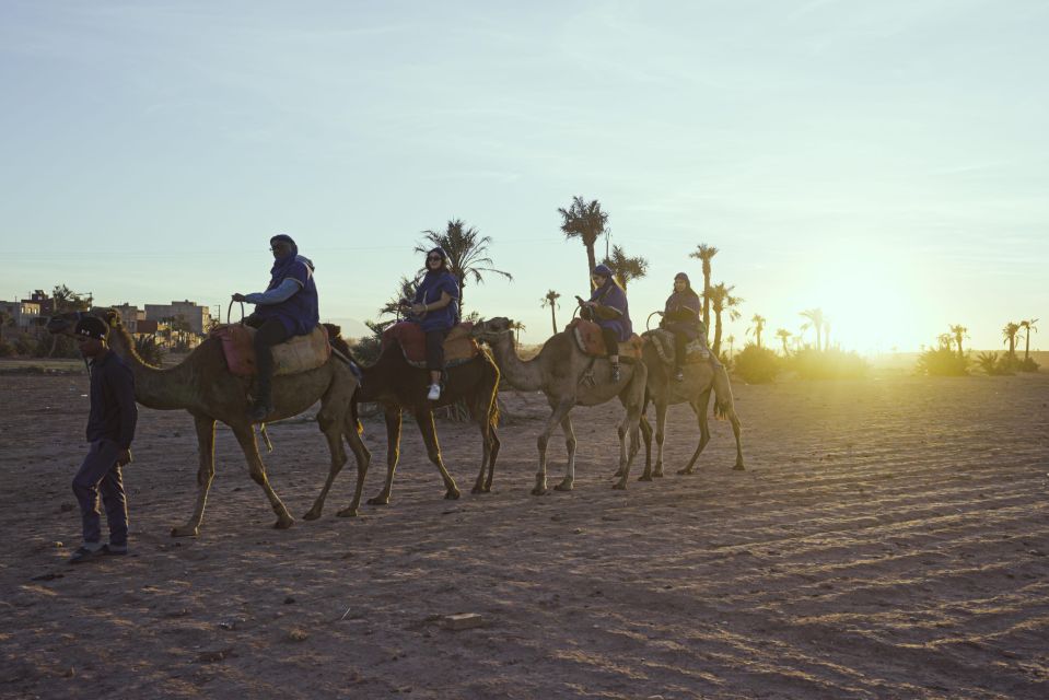 Experience a Camel Tour Through Palm Oasis and Jbilat Desert - Desert Beauty and Local Insights