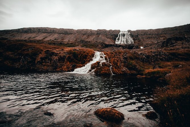 Experience Westfjords and Dynjandi Waterfall From Isafjordur Small Group Tour - Booking Information and Contact Details