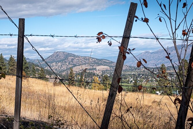 Explore and Learn the Natural Wonders of Summerland - Exploring Local Flora and Fauna