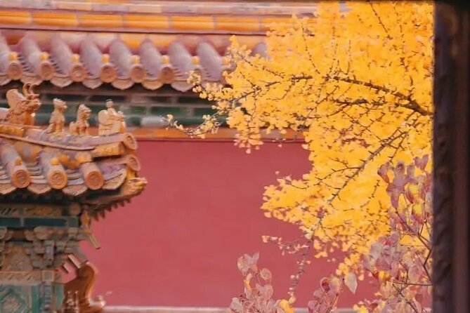 Explore Beijing With Camera--City Walk Tour With Professional Photography Guide - Professional Editing Tips