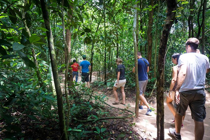 Explore Cu Chi Tunnels With Private Tour From Ho Chi Minh City - Tour Highlights