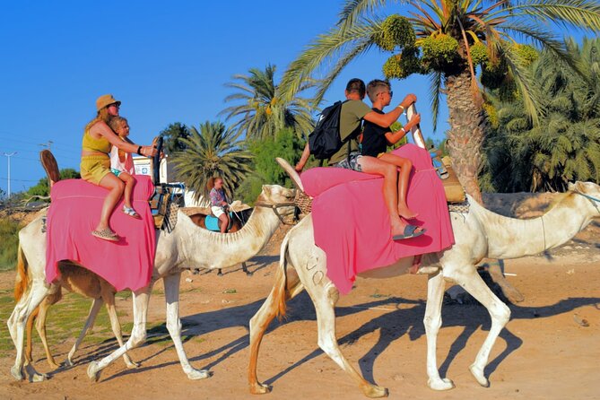 Explore Djerba With Our Four-Legged Friends - Safety Tips for Traveling With Pets