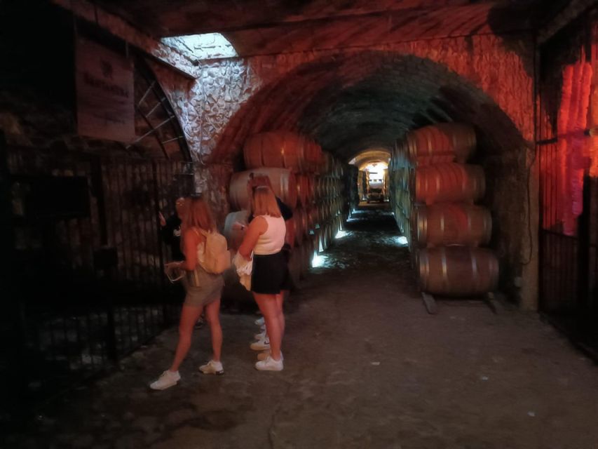 Explore Tequila: Private Trip From Guadalajara - Inclusions