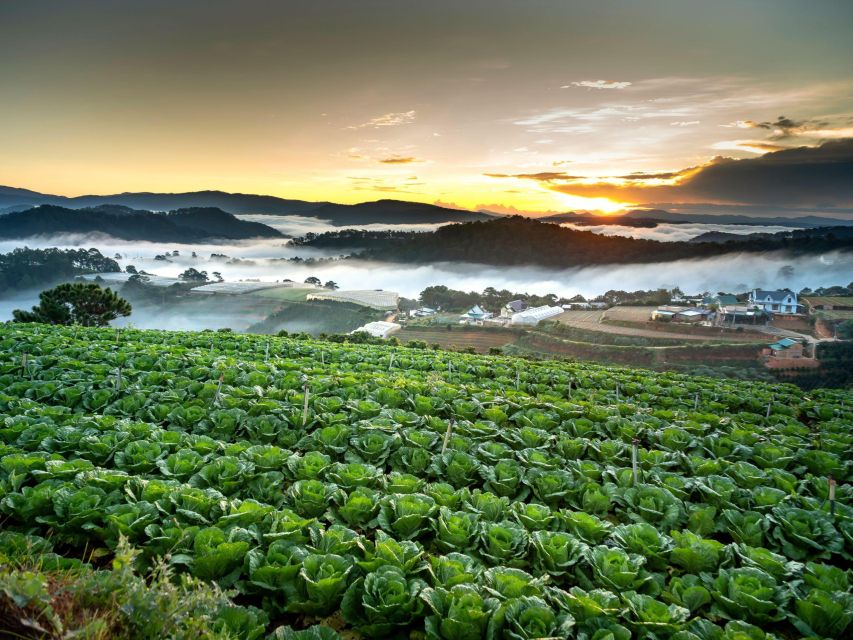 Explore the Best of Dalat Countryside Tour (Private Car) - Customer Reviews and Recommendations
