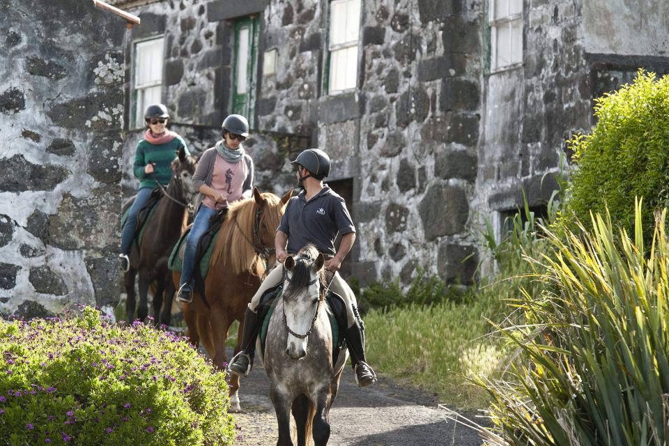 Faial Island: Horseback Riding on Lusitano Trail (1,5 Hr) - Meeting Point in Cedros Village