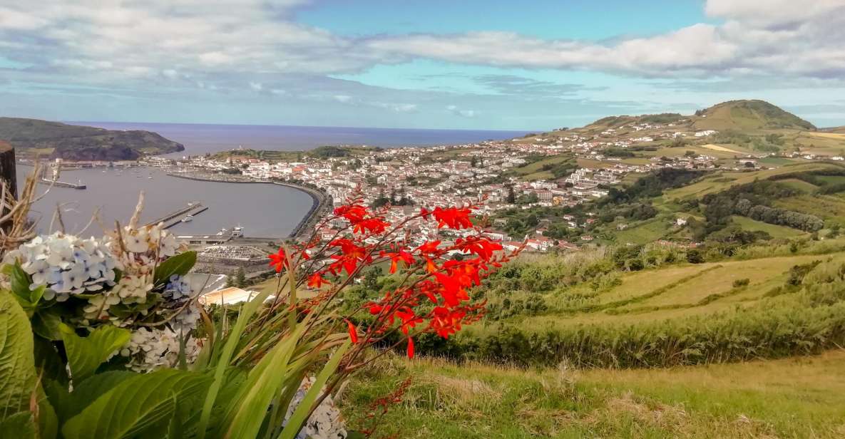 Faial Island: the Main Attractions on a Half Day Tour - Scenic Viewpoints Discovery