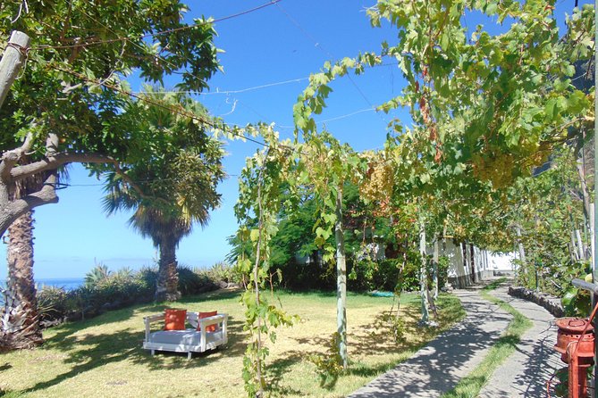 Fajã Dos Padres Organic Farm Tour With Cable Car Ticket  - Madeira - Directions