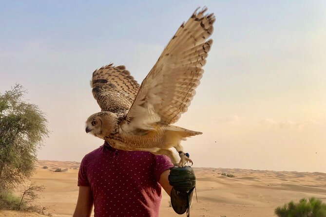 Falcon 1—Private Dubai Falconry Safari - Customer Reviews