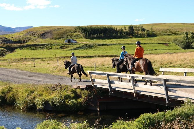 Family Friendly Horse Riding Tour in Skagafjörður - Cancellation Policy and Pricing