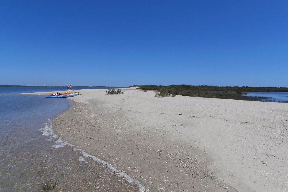 Faro: Kayak Hire in Ria Formosa Natural Park - Customer Reviews