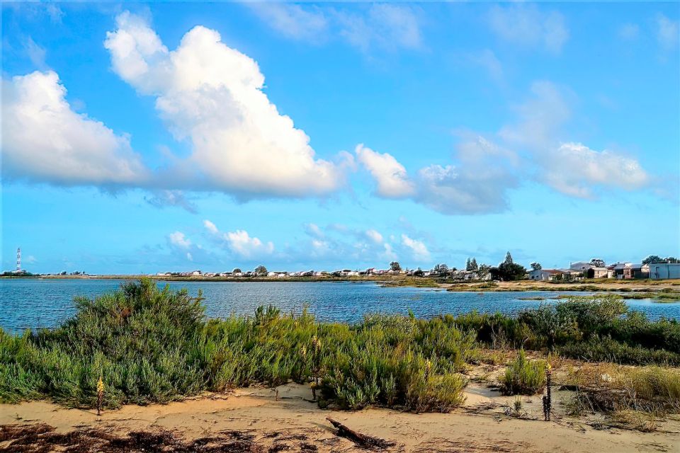 Faro: Ria Formosa Catamaran Tour - Highlights