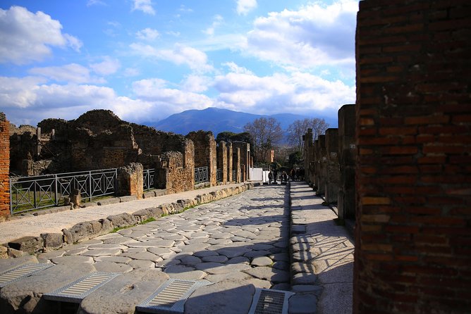 Fast Access Exclusive Private Ancient Pompeii Half Day Tour With Local Guide - Traveler Reviews and Recommendations