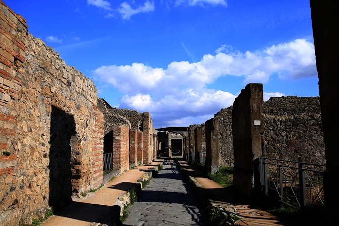 Fast Access Exclusive Private Ancient Pompeii Herculaneum & Oplontis Guided Tour - Flexible Itinerary