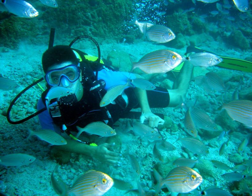 Fethiye: 2 Guided Scuba Dives With Lunch and Hotel Transfers - Certification and Recommendations Offered