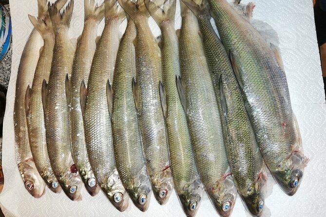 Fishing Tour With a Fishing Boat at Lake Constance (Untersee) - Wildlife Spotting Opportunities