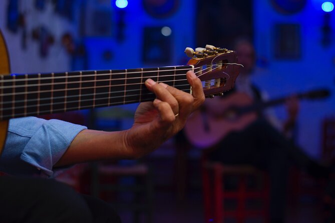 Flamenco Caves of Sacromonte - Last Words