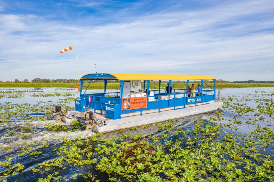 Florida: 90 Minute Everglades Cruise - Nature Exploration