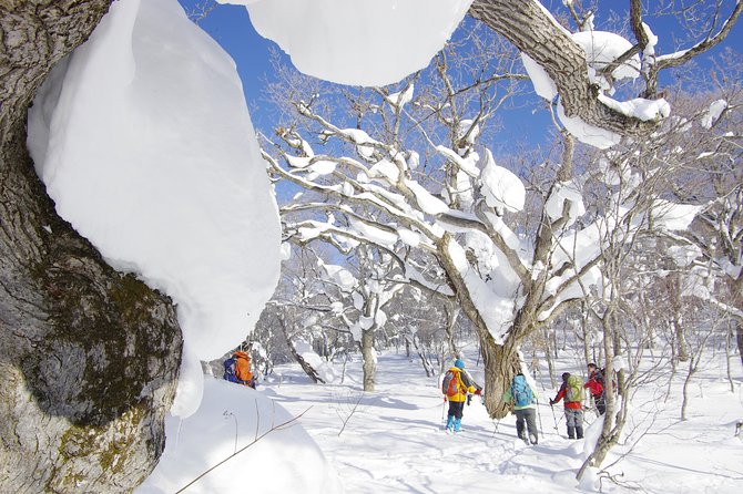 Fluffy New Snow and the Earth Beating, Goshougake Oyunuma Snowshoeing Tour - Tour Expectations