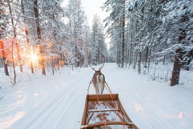 Forest Trail Reindeer Safari - Winter Clothing and Snacks