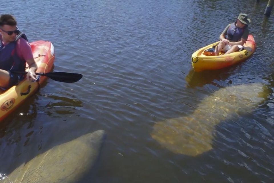 Fort Myers: Guided Kayaking Eco Tour in Pelican Bay - Common questions