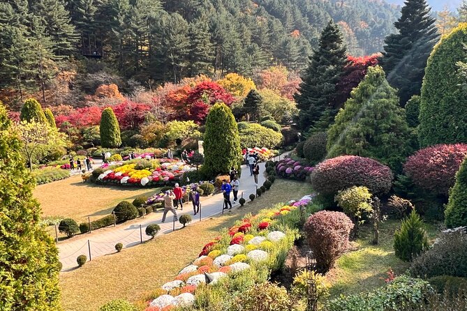 Four Seasons of Nami Island With Garden of Morning Calm Tour - Nami Island Experience