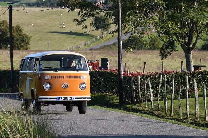 French Basque Country Private Day Tour in an VW Combi - Safety Measures