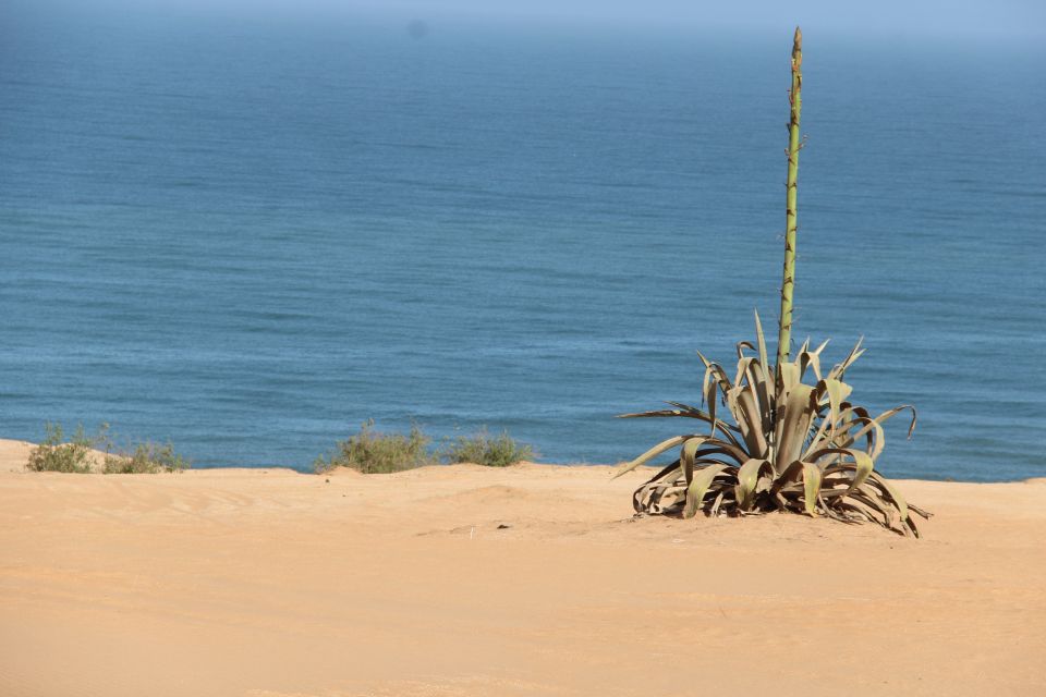 From Agadir: 44 Jeep Sahara Desert Tour With Lunch - Departure and Stops