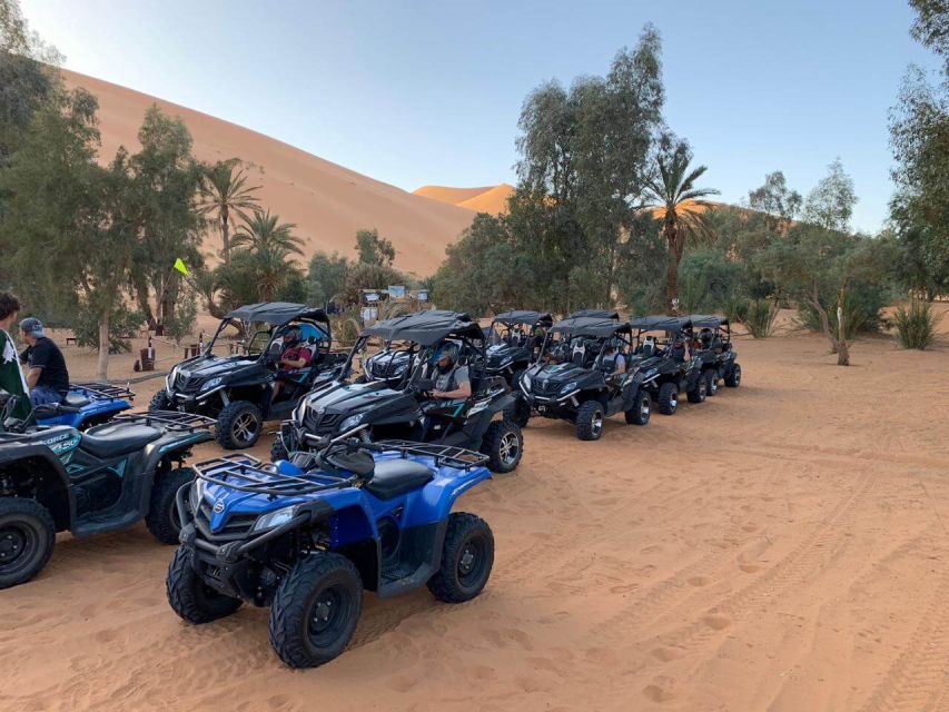 From Agadir: Buggy Ride or Quad Bike With Sandboarding - Customer Review