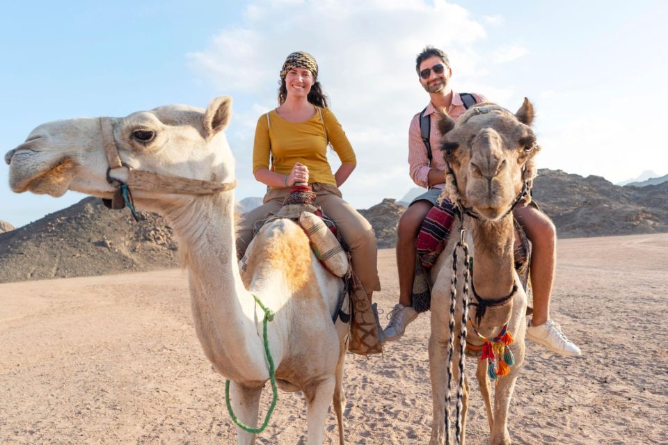 From Agadir : Camel Excursion and Luxurious Hammam & Massage - Booking Information